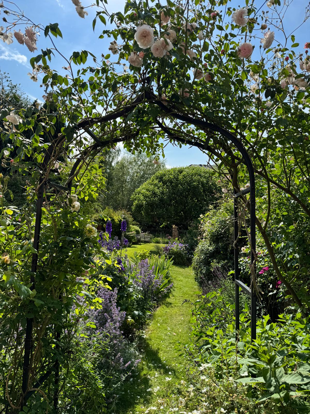 Rose arch framing a lush garden path